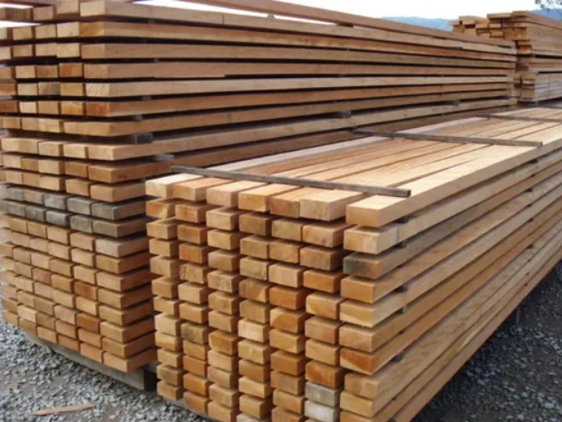 VIGAMENTOS E PRANCHAS