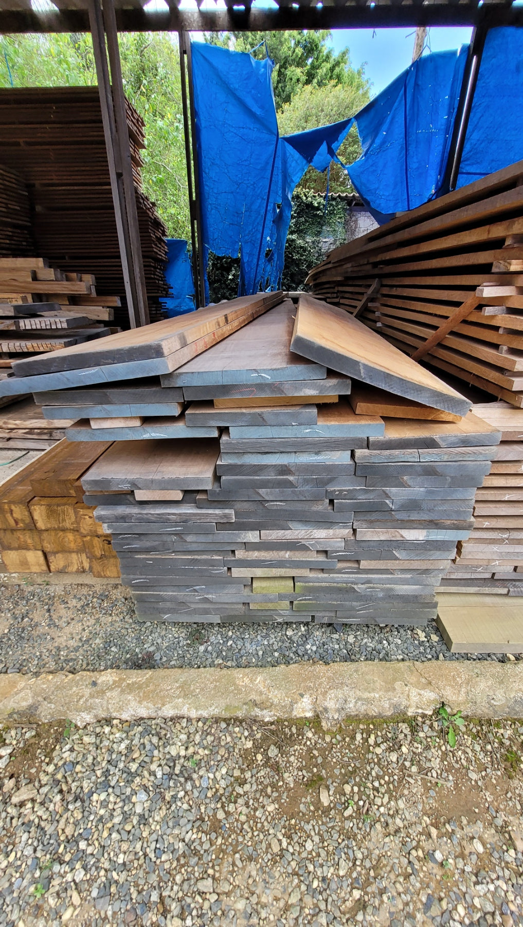 PRANCHADO TAUARI SECO