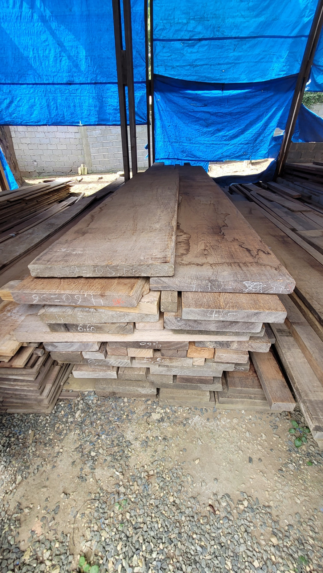 PRANCHADO ANGELIM SECO